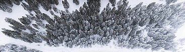 Bird eye’s view!, by Kimon Maritz